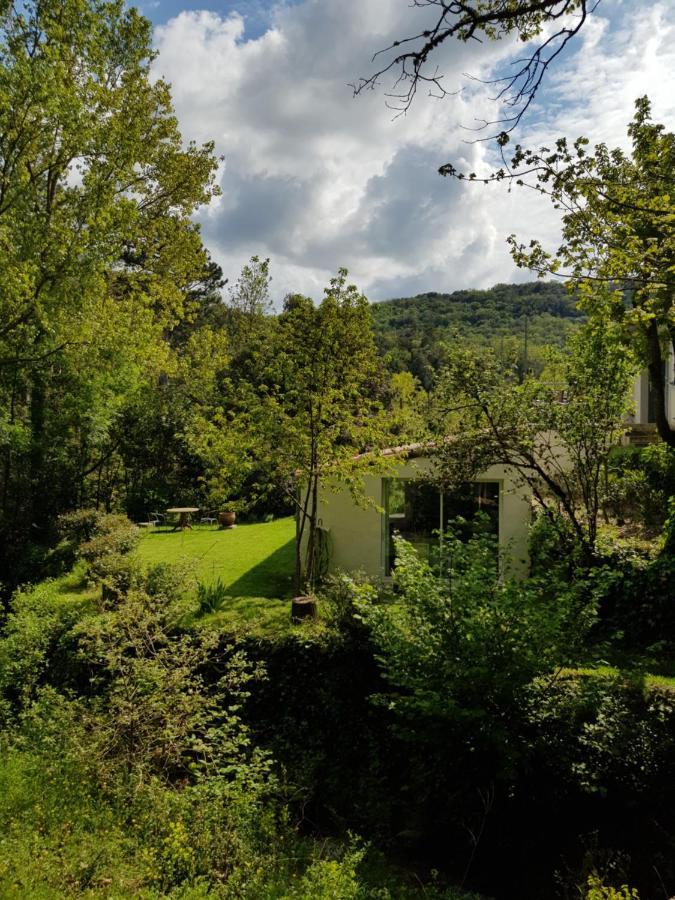 Lanet Beautiful Studio Surrounded By Nature מראה חיצוני תמונה