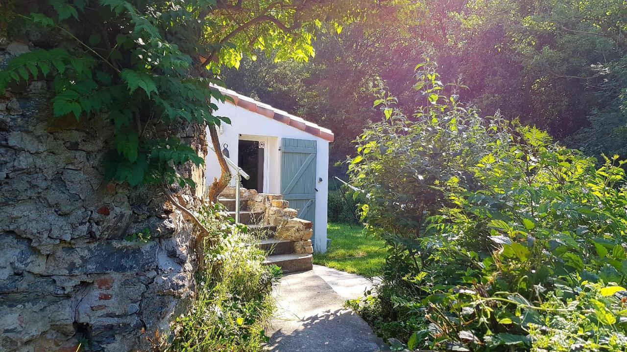 Lanet Beautiful Studio Surrounded By Nature מראה חיצוני תמונה
