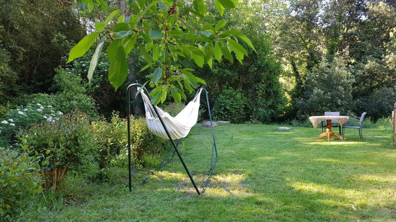 Lanet Beautiful Studio Surrounded By Nature מראה חיצוני תמונה