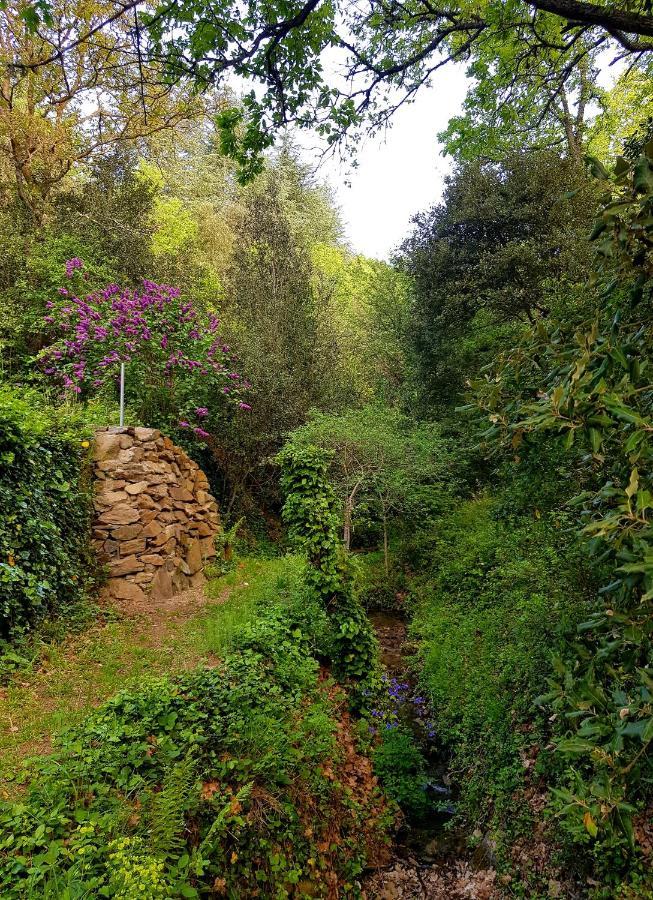 Lanet Beautiful Studio Surrounded By Nature מראה חיצוני תמונה
