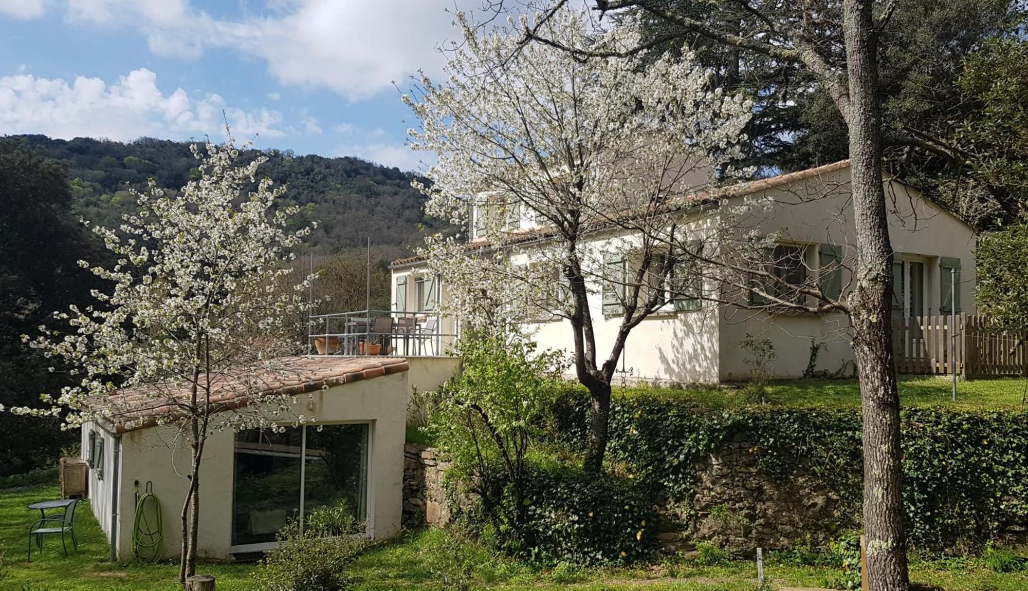 Lanet Beautiful Studio Surrounded By Nature מראה חיצוני תמונה