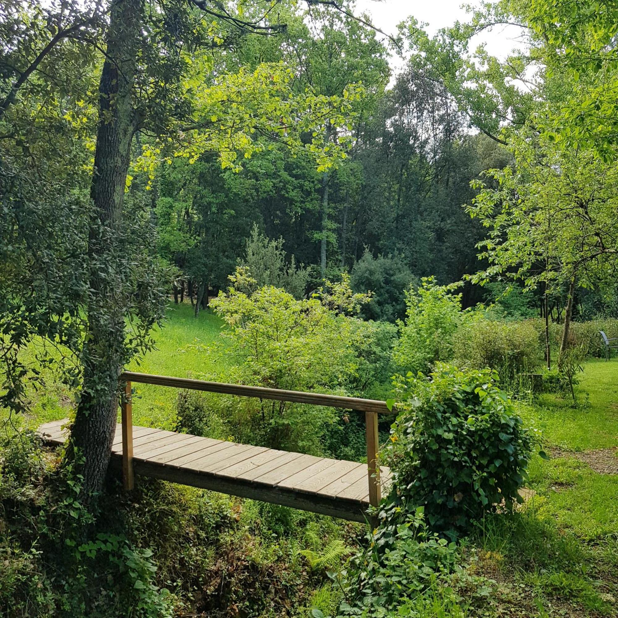 Lanet Beautiful Studio Surrounded By Nature מראה חיצוני תמונה